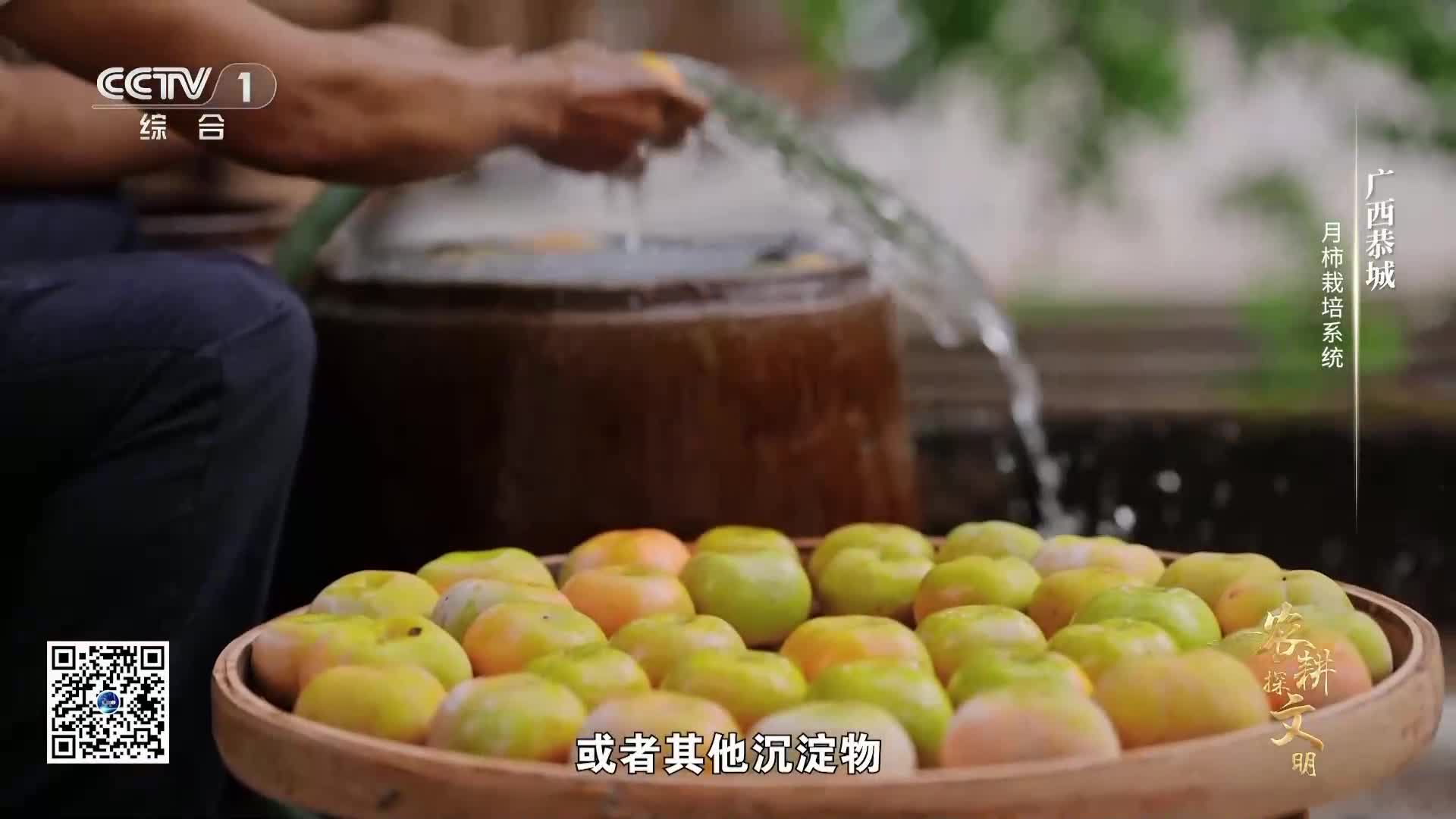 电视频道