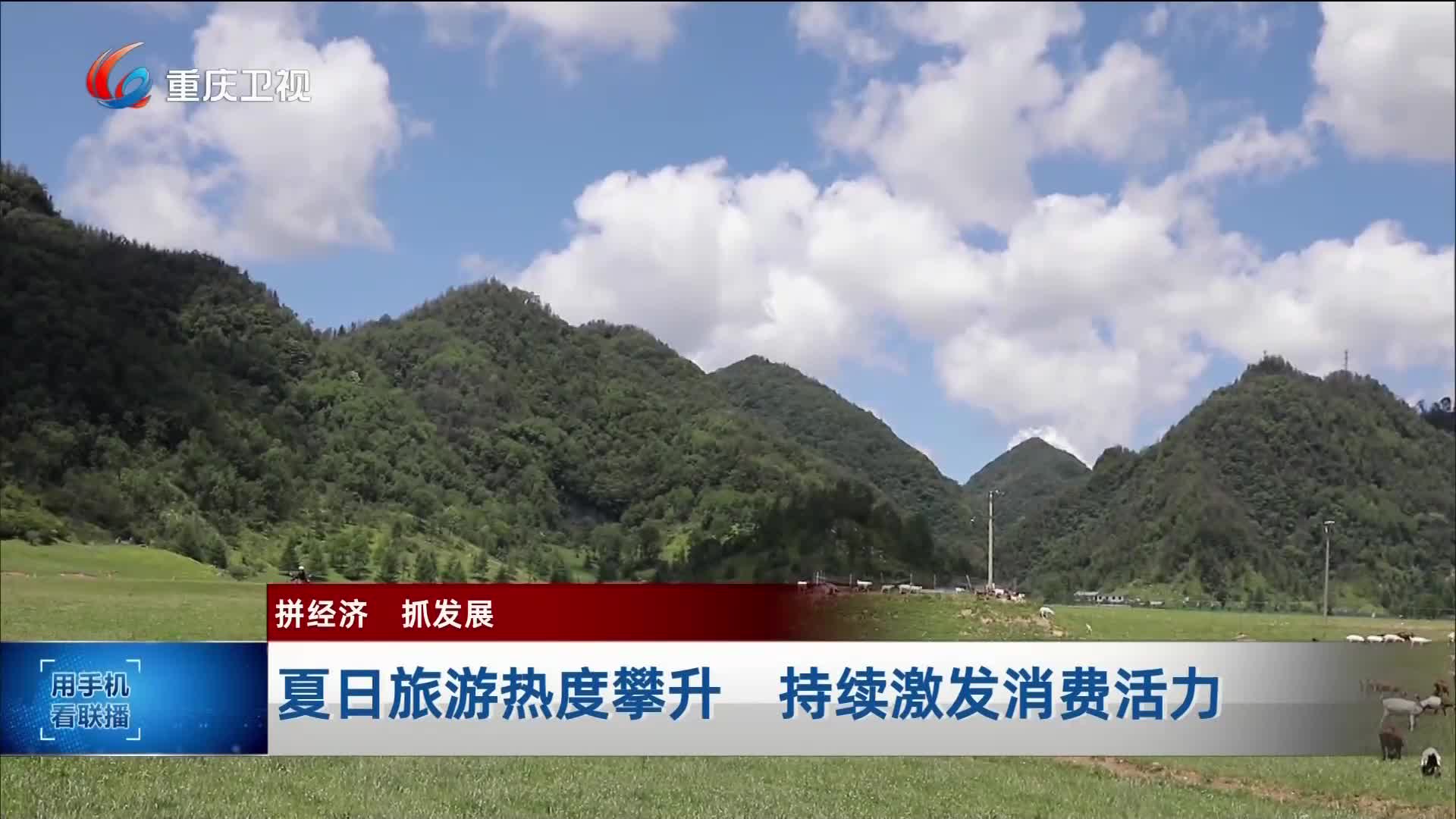 重庆卫视高清