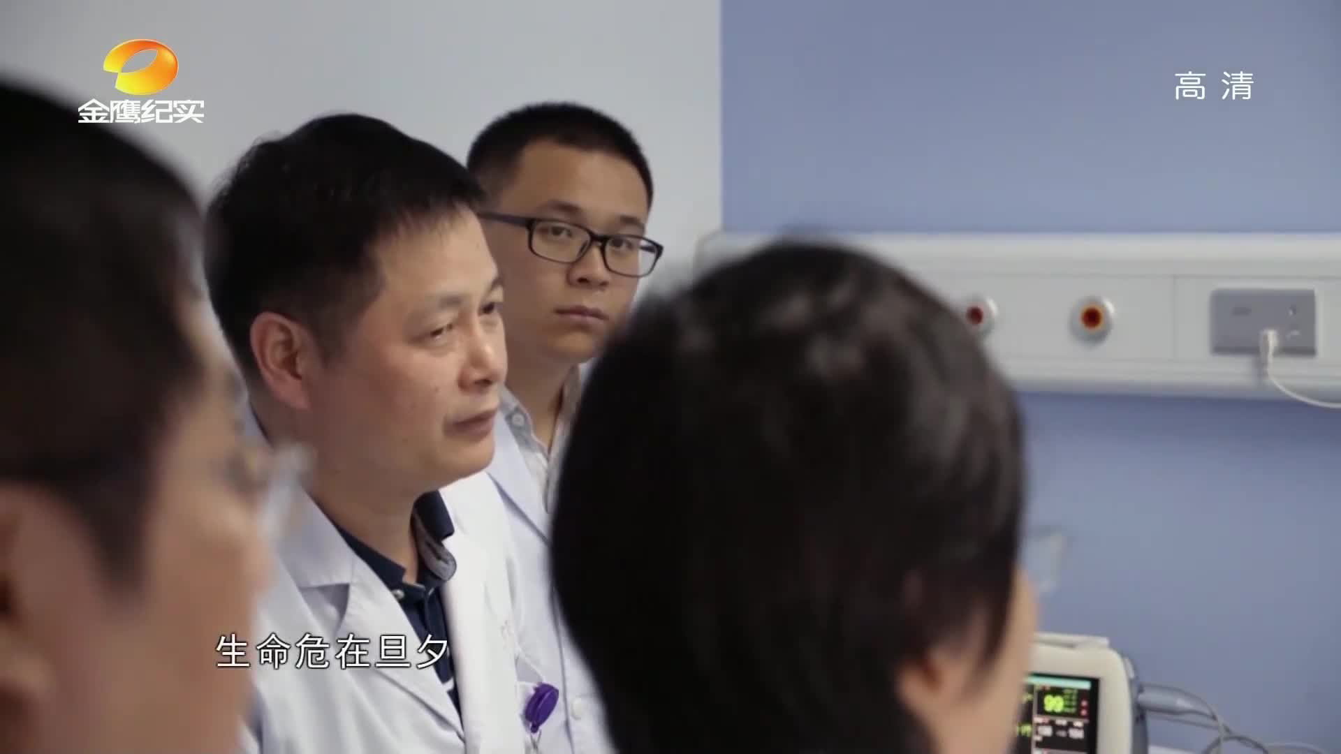 金鹰纪实高清