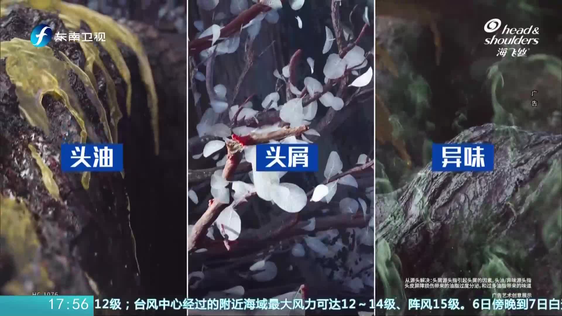 福建东南卫视高清