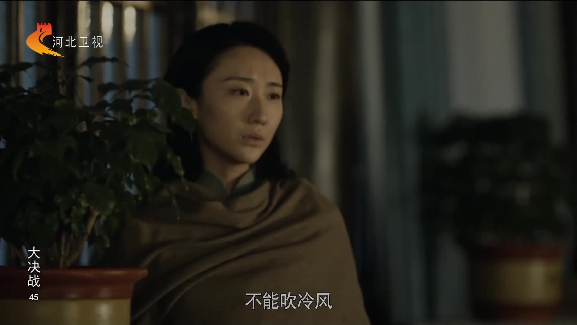 河北卫视高清