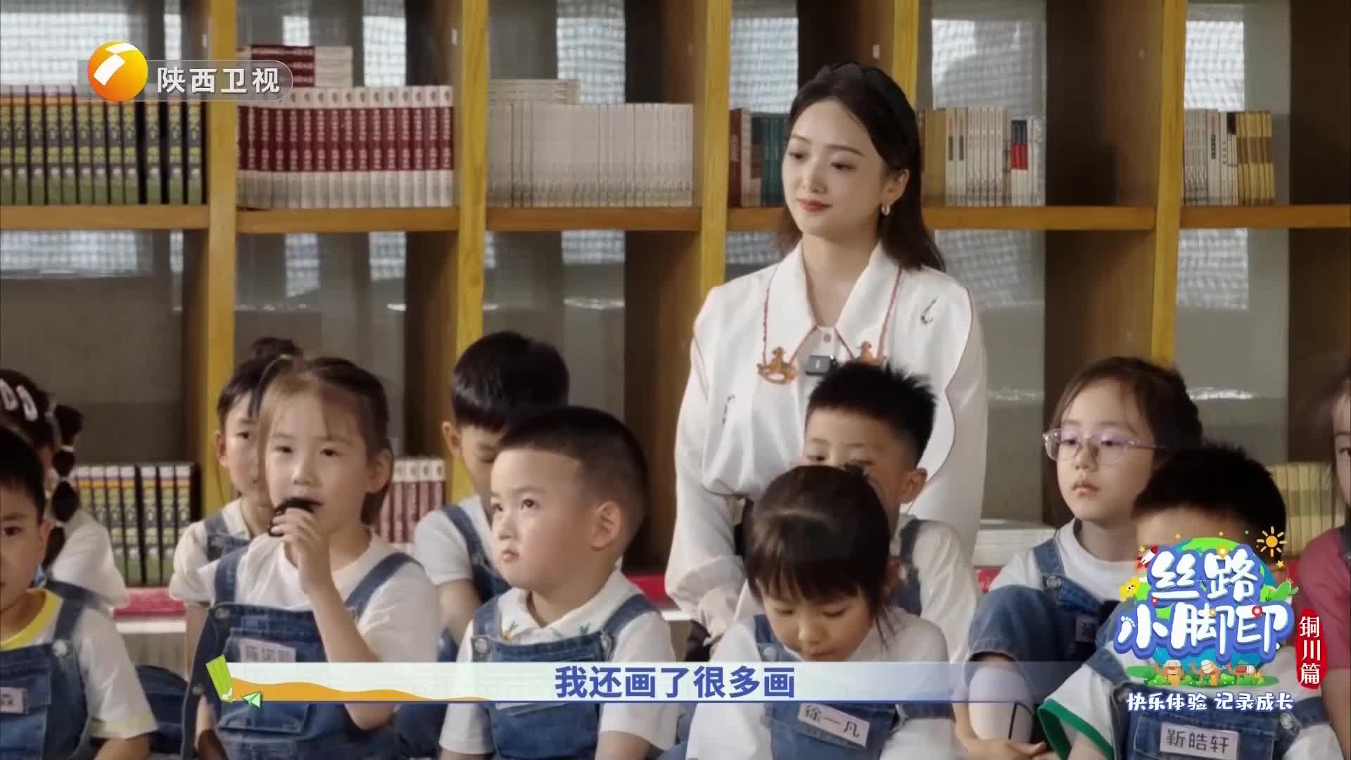 陕西卫视
